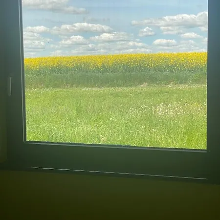 Chojno 31- Dom Wypoczynkowy Przy Jeziorze Z Jacuzzi Chrostkowo Exterior foto